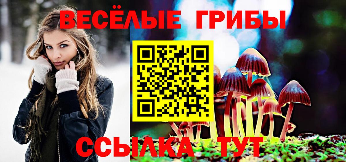 Галлюциногенные грибы GOLDEN TEACHER  наркошоп  Вход с VPN  Сибай  Псилоцибиновые грибы Psilocybe 