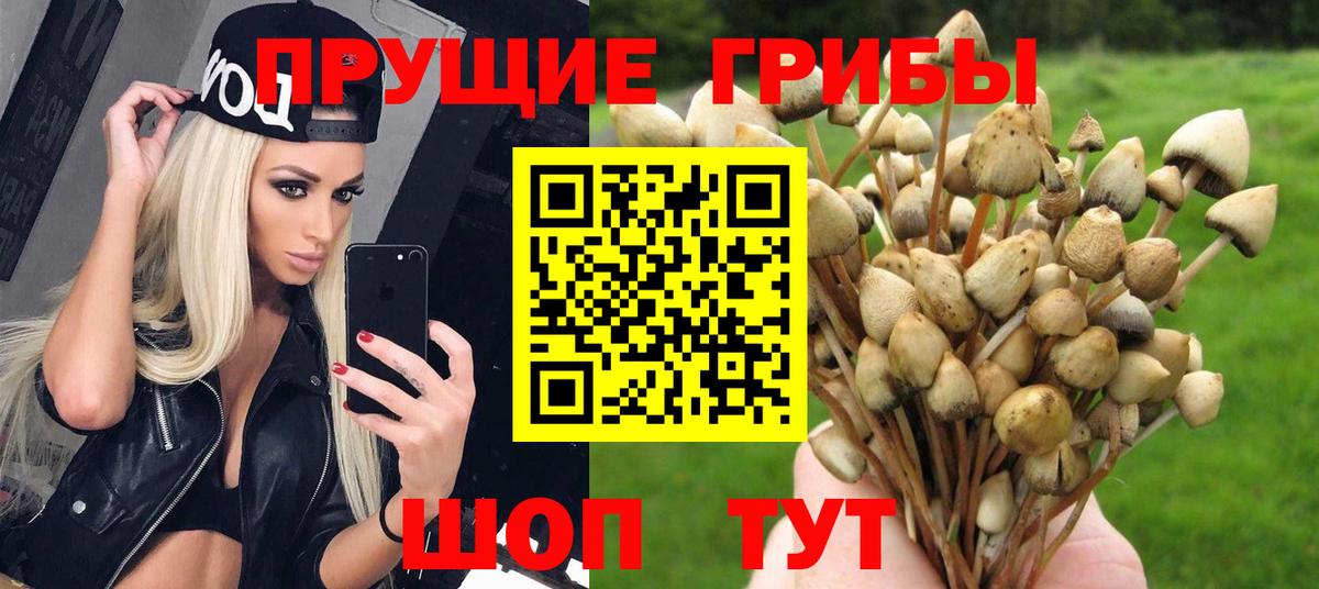 Галлюциногенные грибы ЛСД Сибай